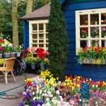 garden planning tips