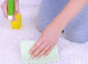 Cleaning carpet with cloth and sprayer close up