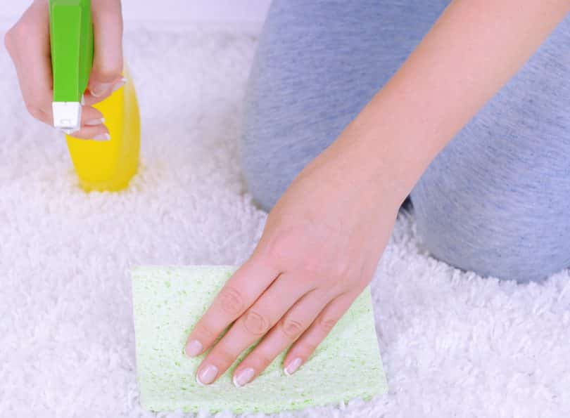 Cleaning carpet with cloth and sprayer close up