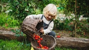 benefits of gardening