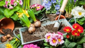 benefits of gardening