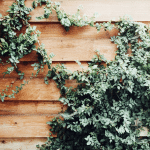 Replace Your Home’s Siding