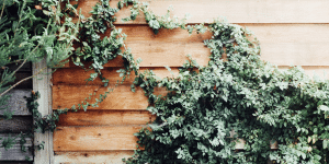 Replace Your Home’s Siding