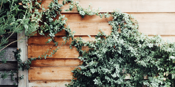 Replace Your Home’s Siding