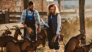 How to Save Money on Your Farm