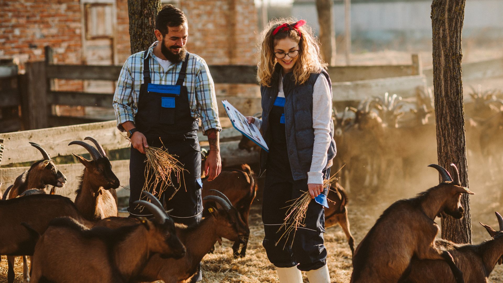 How to Save Money on Your Farm