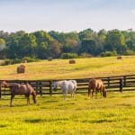 Tips for Saving Money on Your Farm