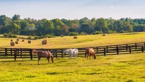 Tips for Saving Money on Your Farm