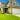 Lawn Care and Maintenance