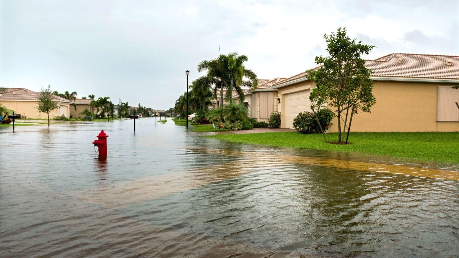 Protect Your Home From Flood Damage