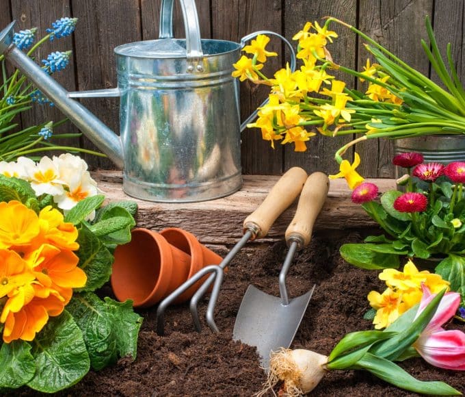 common gardening mistakes