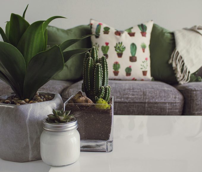 how to make your house smell good naturally