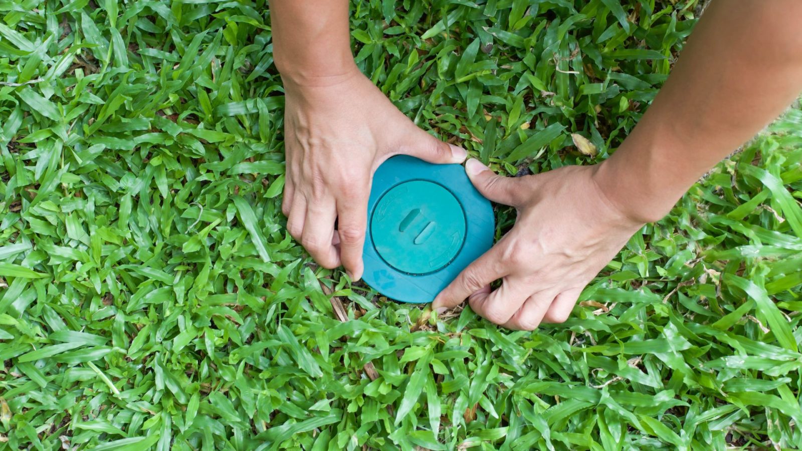 can weather and soil affect termite bait stations