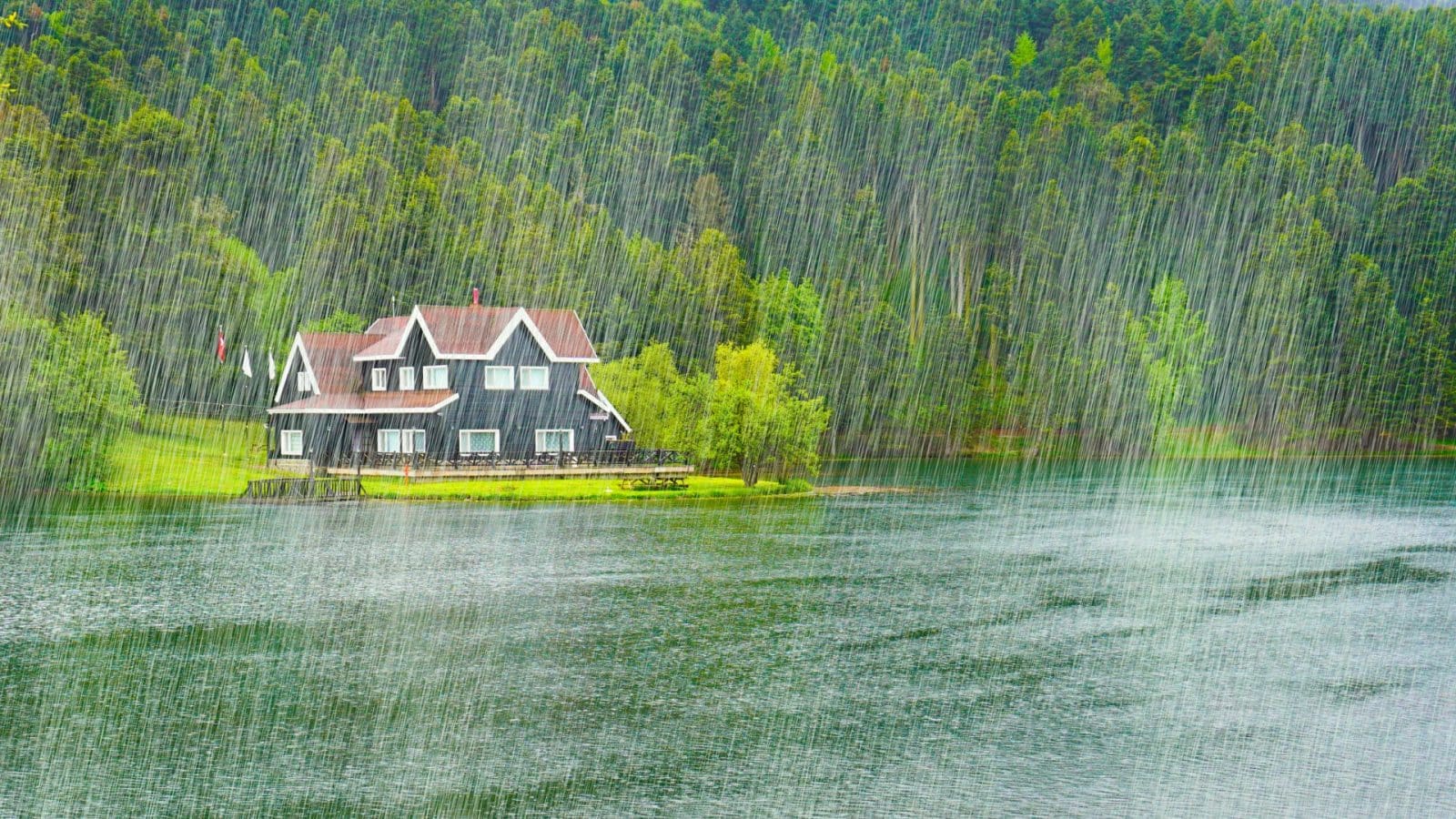 Ways You Can Protect Your Home From the Weather