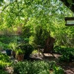 Meditation Garden