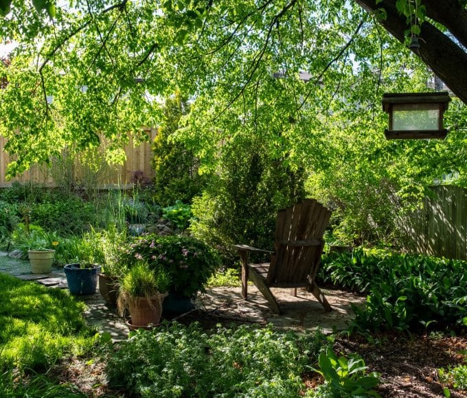 Meditation Garden